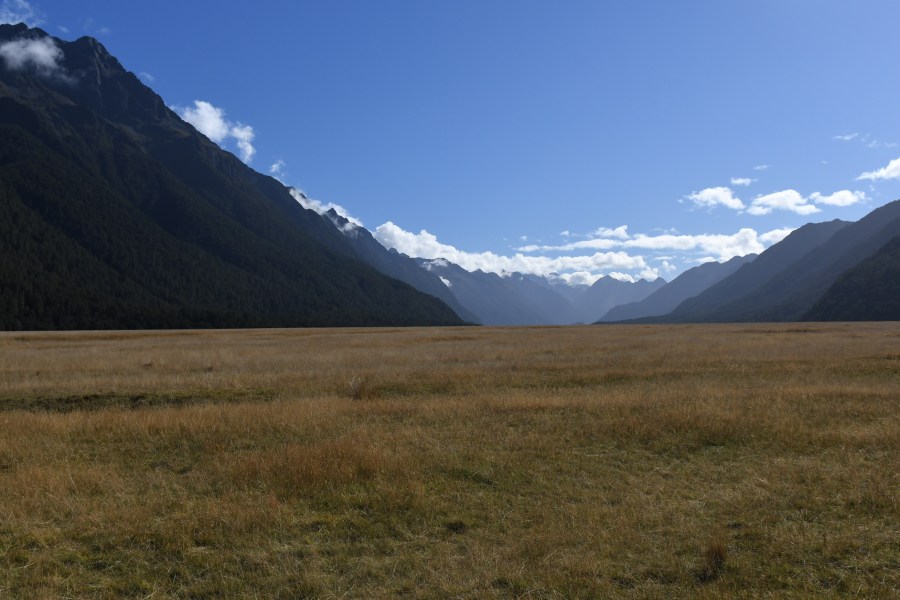 NZ milford eggleton valley.JPG