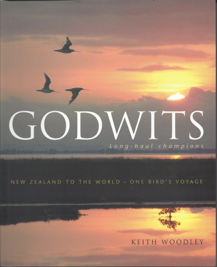 NZ miranda book godwits.jpeg