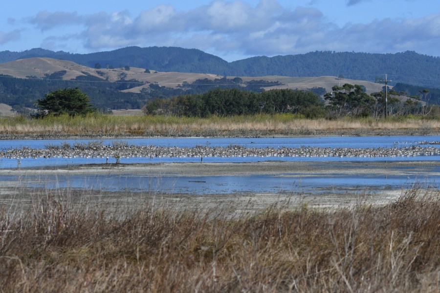 NZ miranda vista2.jpg