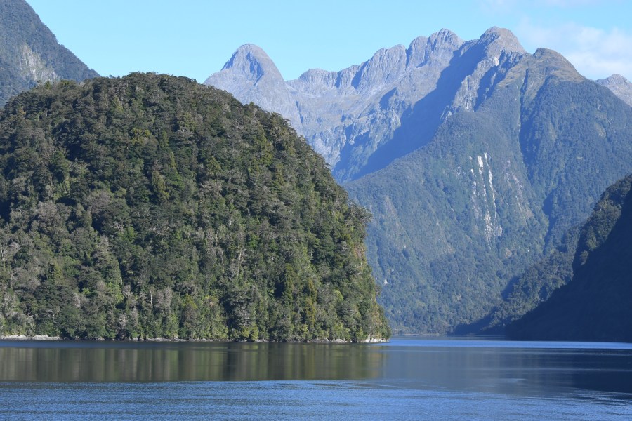 NZ DS side walls.JPG