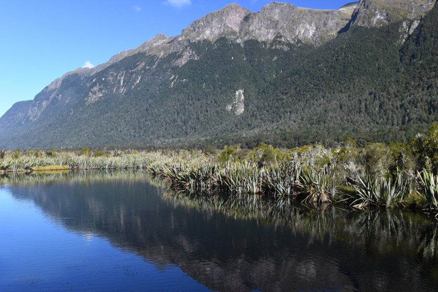 NZ milford eggleton valley2.JPG