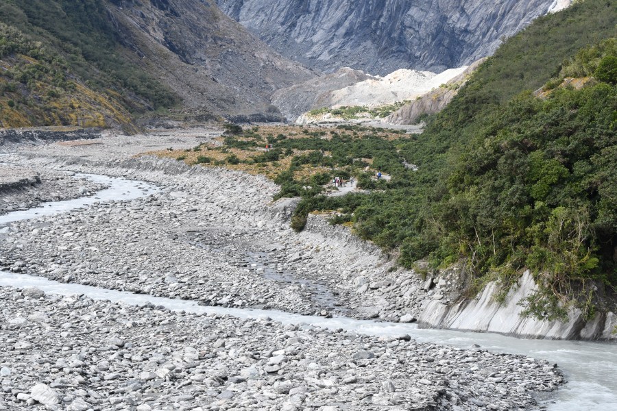 z NZ FJG walk vista.JPG