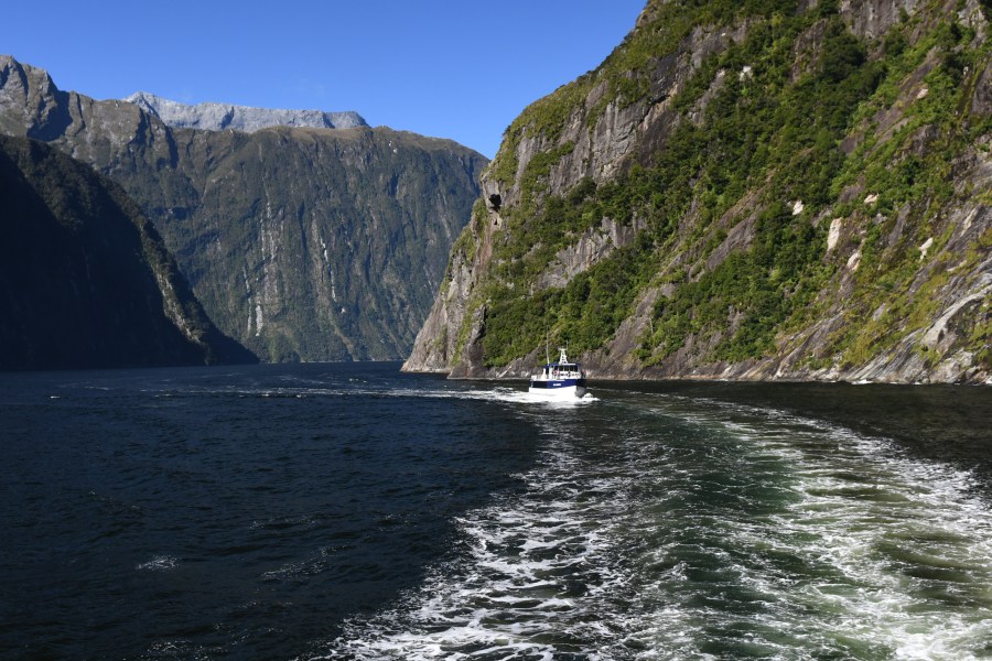 z NZ milford passage.JPG