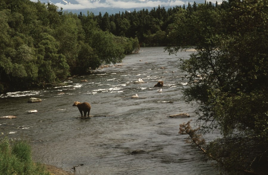 00051_s_r16anxmreee0051