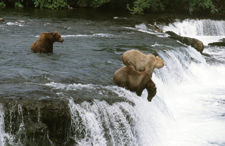 00056_s_r16anxmreee0056