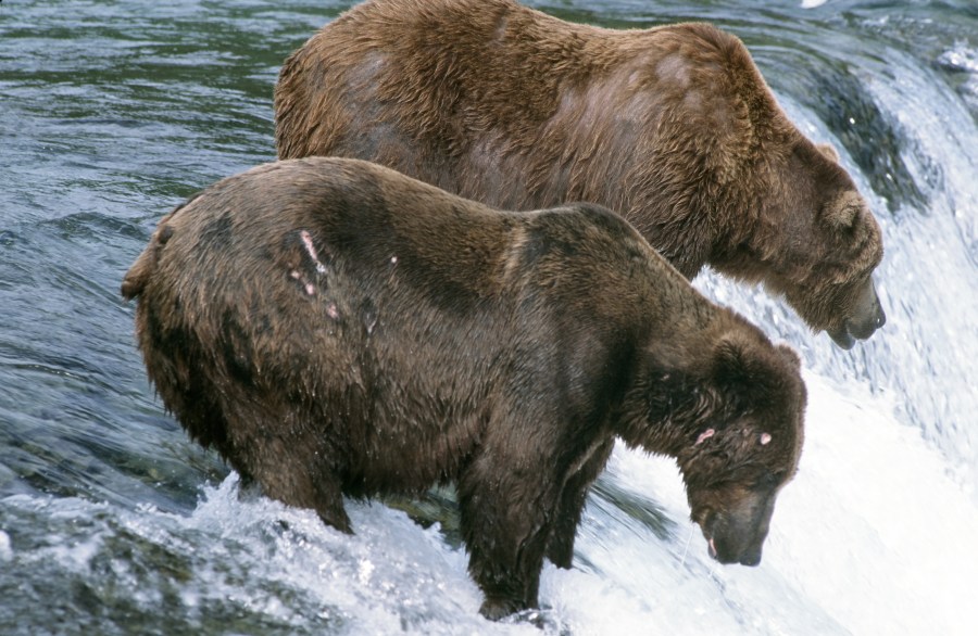 00059_s_r16anxmreee0059