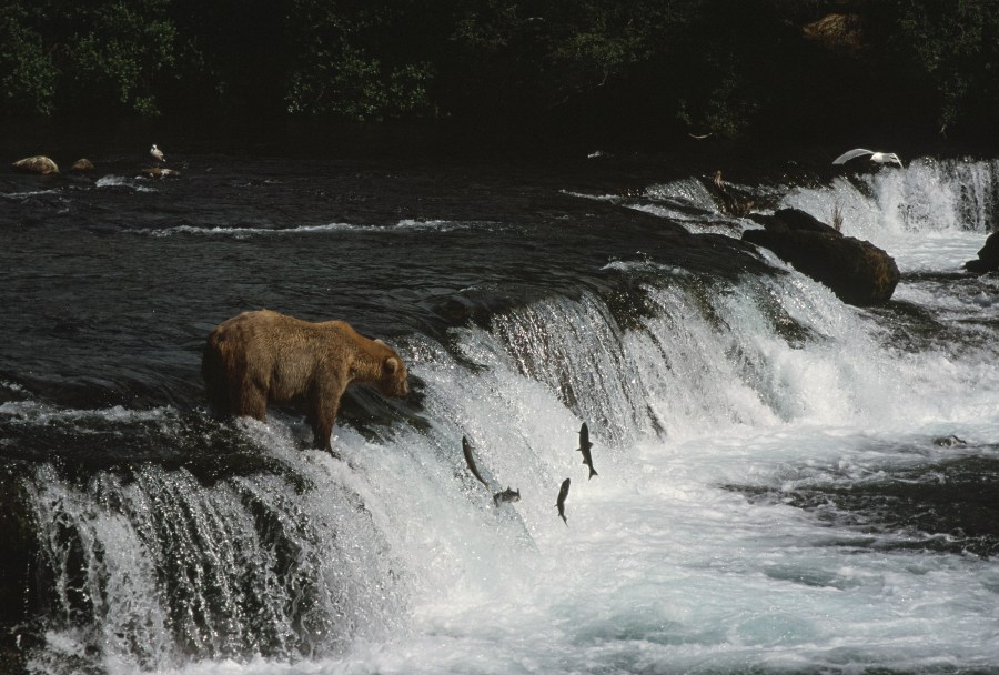 00062_s_r16anxmreee0062