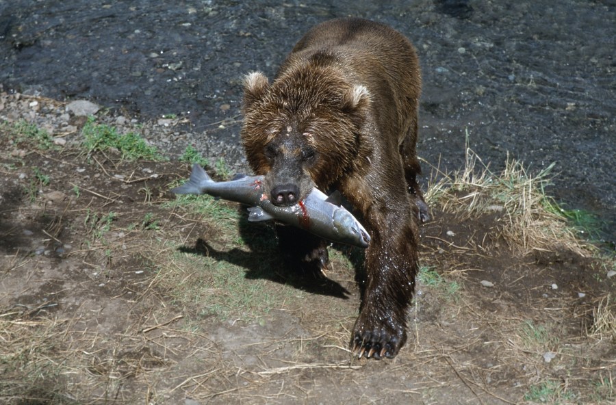 00064_s_r16anxmreee0064