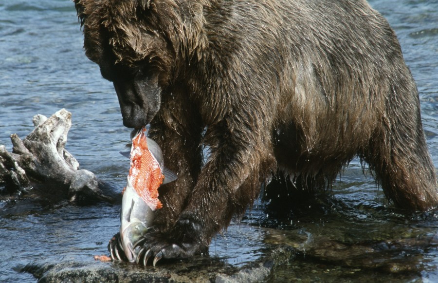 00066_s_r16anxmreee0066