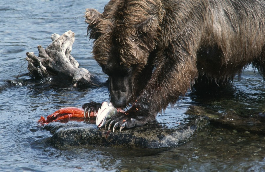 00067_s_r16anxmreee0067