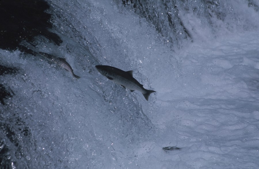 00068_s_r16anxmreee0068