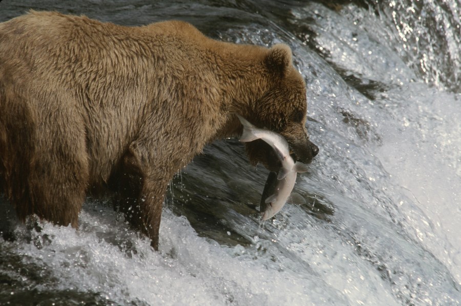 00076_s_r16anxmreee0076