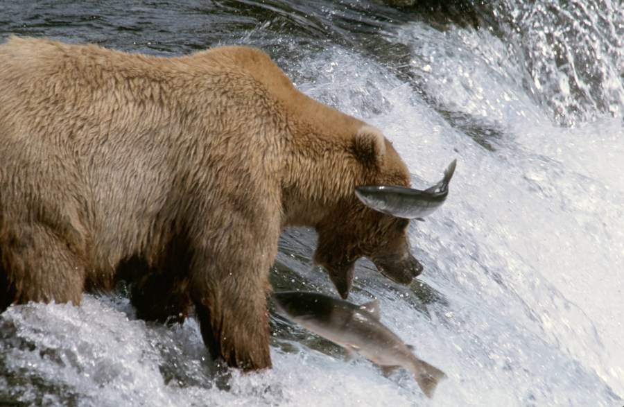 00077_s_r16anxmreee0077