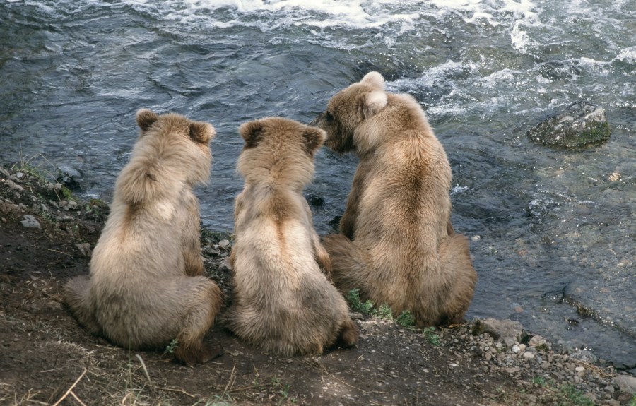 00085_s_r16anxmreee0085